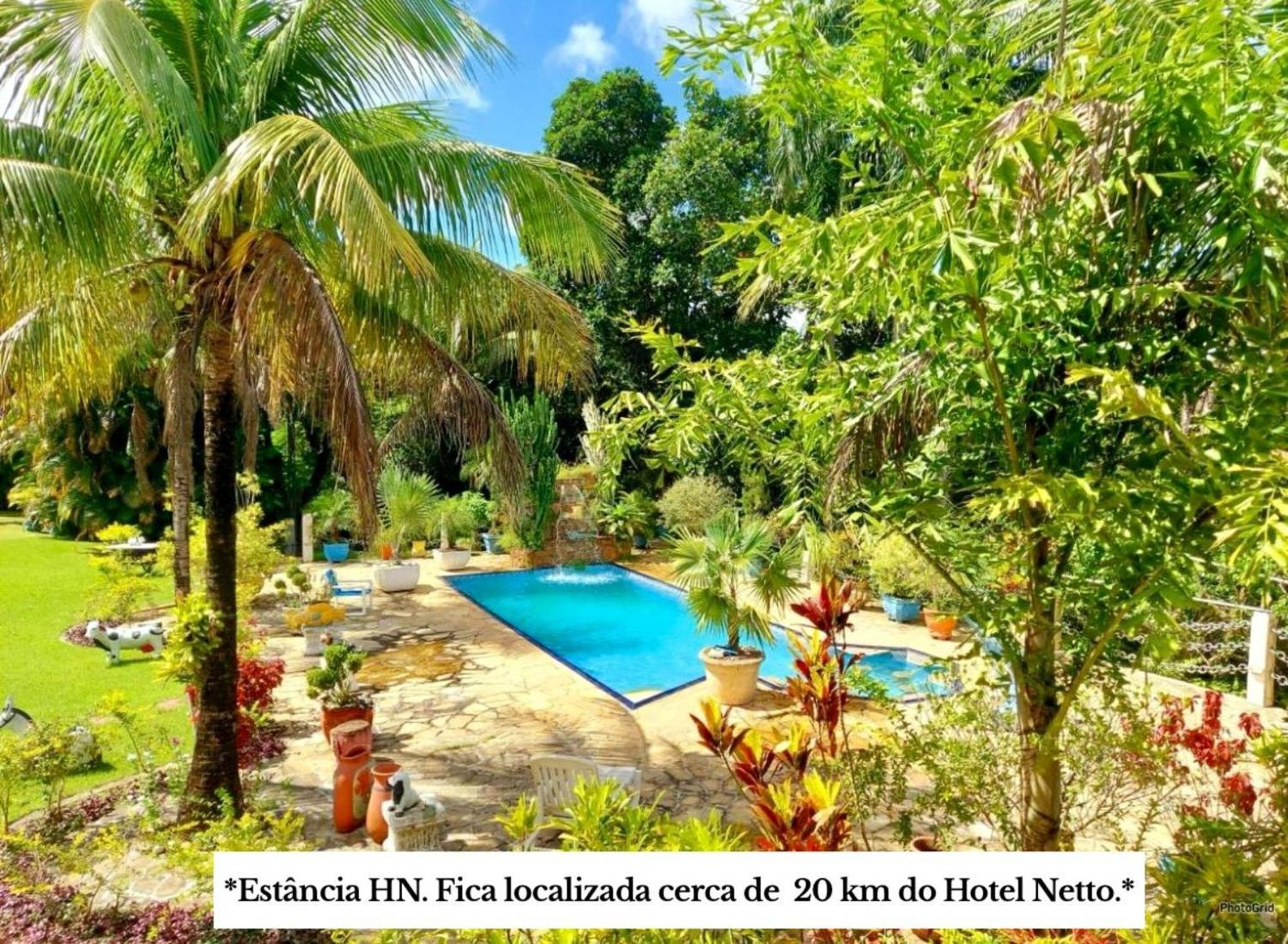 Netto 3*